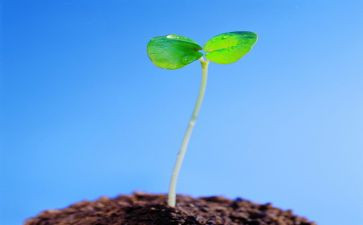 《生命生命》的心得体会精选8篇