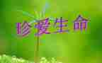石缝间的生命读后感8篇