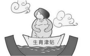 生育险工作总结优质5篇