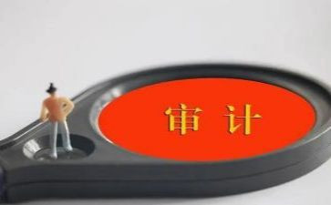 审计类工作总结通用6篇
