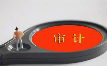 审计类工作总结参考7篇