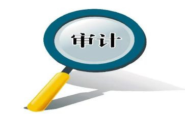审计股的工作计划参考6篇