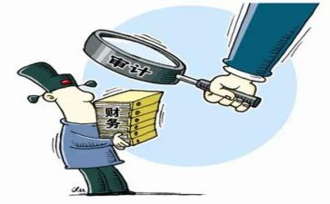 审计助理年度工作总结8篇