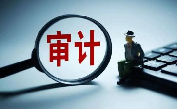 2024年审计办工作总结最新7篇