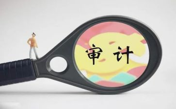审计周工作计划8篇