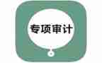 2024年审计办工作总结通用8篇