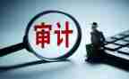 2024年审计办工作总结最新7篇