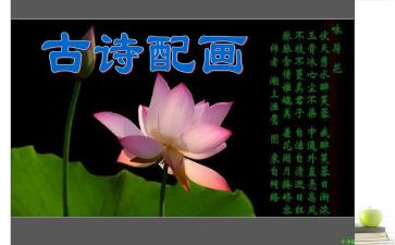 小诗歌教案优秀8篇