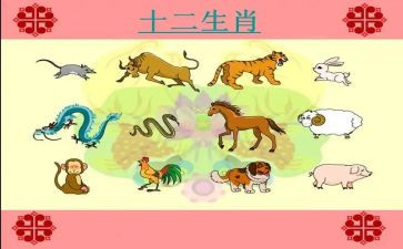 中班十二生肖教案6篇