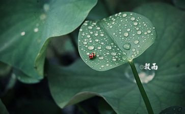 十四运观看心得体会8篇