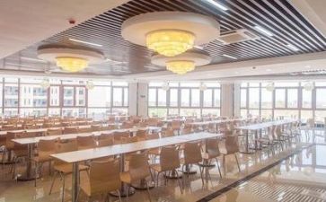 2024食堂年终个人总结精选5篇