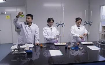 试验队工作总结通用7篇