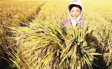 收获与成长心得体会优质5篇