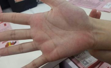 手掌鸟教案通用5篇