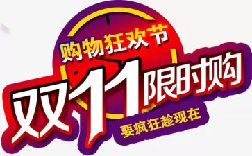 双11教师总结参考5篇