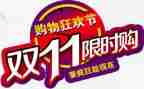 双11教师总结参考5篇