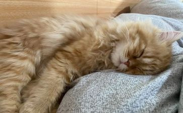 睡眠的心得体会8篇