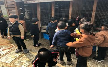 饲养员工作总结8篇