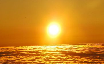 太阳树教案优秀6篇