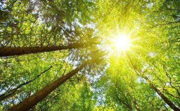 太阳的颜色教案7篇