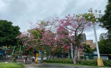 祠堂落成庆典讲话稿5篇