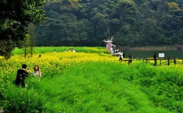 清明踏青心得体会7篇