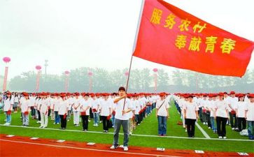 特岗教师个人年度总结7篇