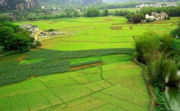 四时田园杂兴教案5篇