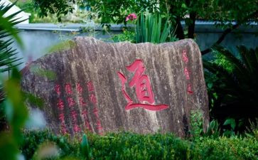 铁道读后感5篇