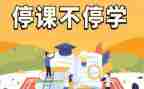 网课停课不停学心得体会7篇