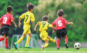 踢球教案参考7篇