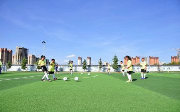 2024小学体卫艺工作总结推荐8篇