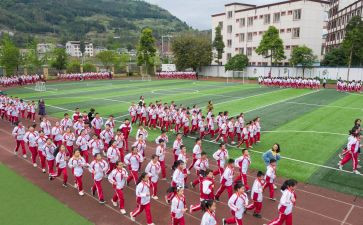 幼儿园体育活动的教案6篇
