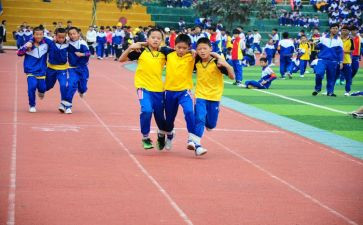 幼儿园体育活动的教案推荐8篇
