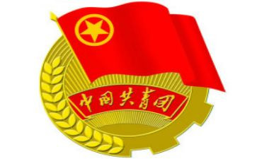 院团委工作总结6篇