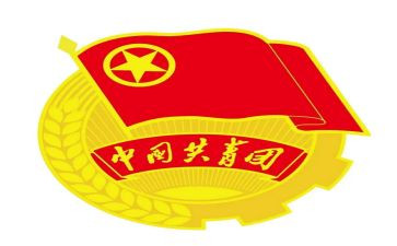 团支部年度工作总结最新5篇