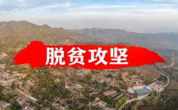 村2023脱贫工作总结参考8篇