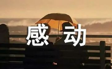 一件令我感动的事作文模板7篇