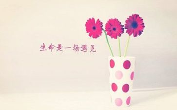 文字岗工作计划范文6篇