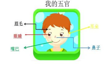 2024年五官科工作总结7篇