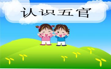画五官教案通用6篇