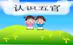 画五官教案通用6篇