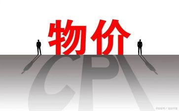 物价局工作总结7篇