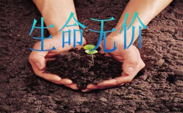 亲情无价作文600字5篇