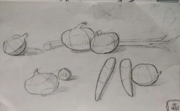 猫物体画教案7篇