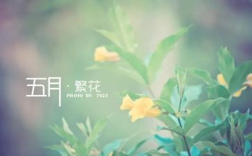 五月教师工作总结7篇