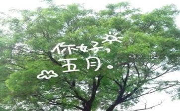 五月工作总结6篇