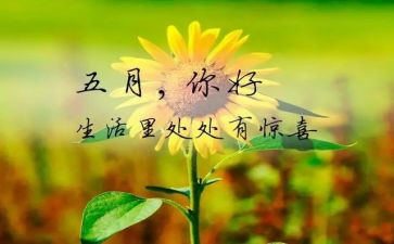 教师五月工作计划5篇