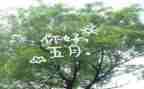 五月工作总结6篇