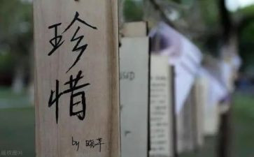 珍惜资源的演讲稿最新8篇